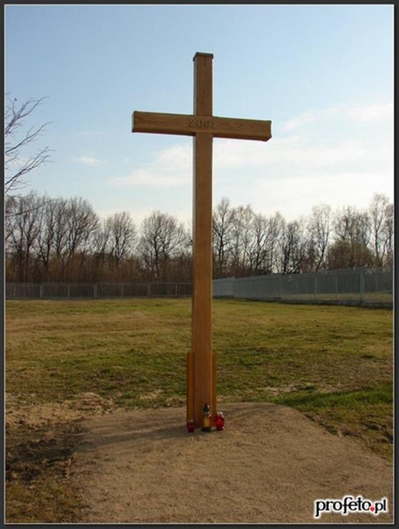 58.jpg